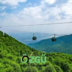 kartepe-halı-koltuk-yıkama