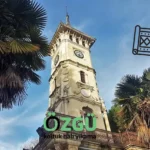 izmit-halı-yıkama